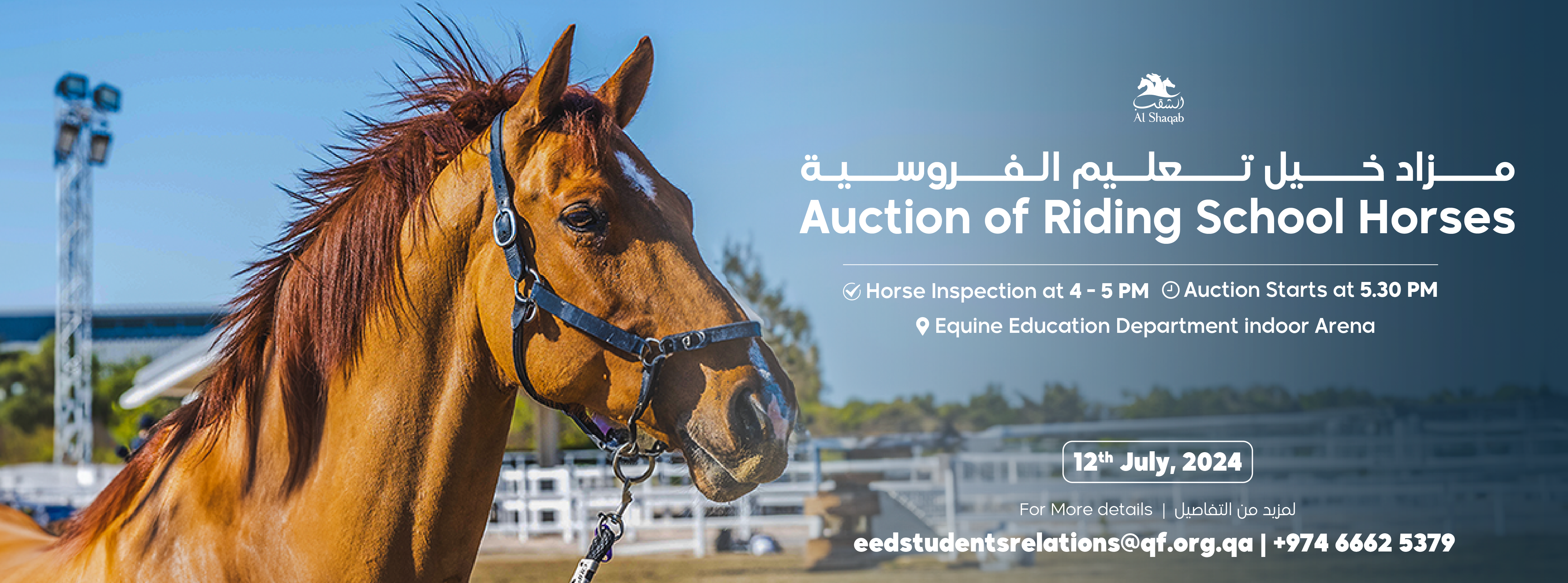 Auction